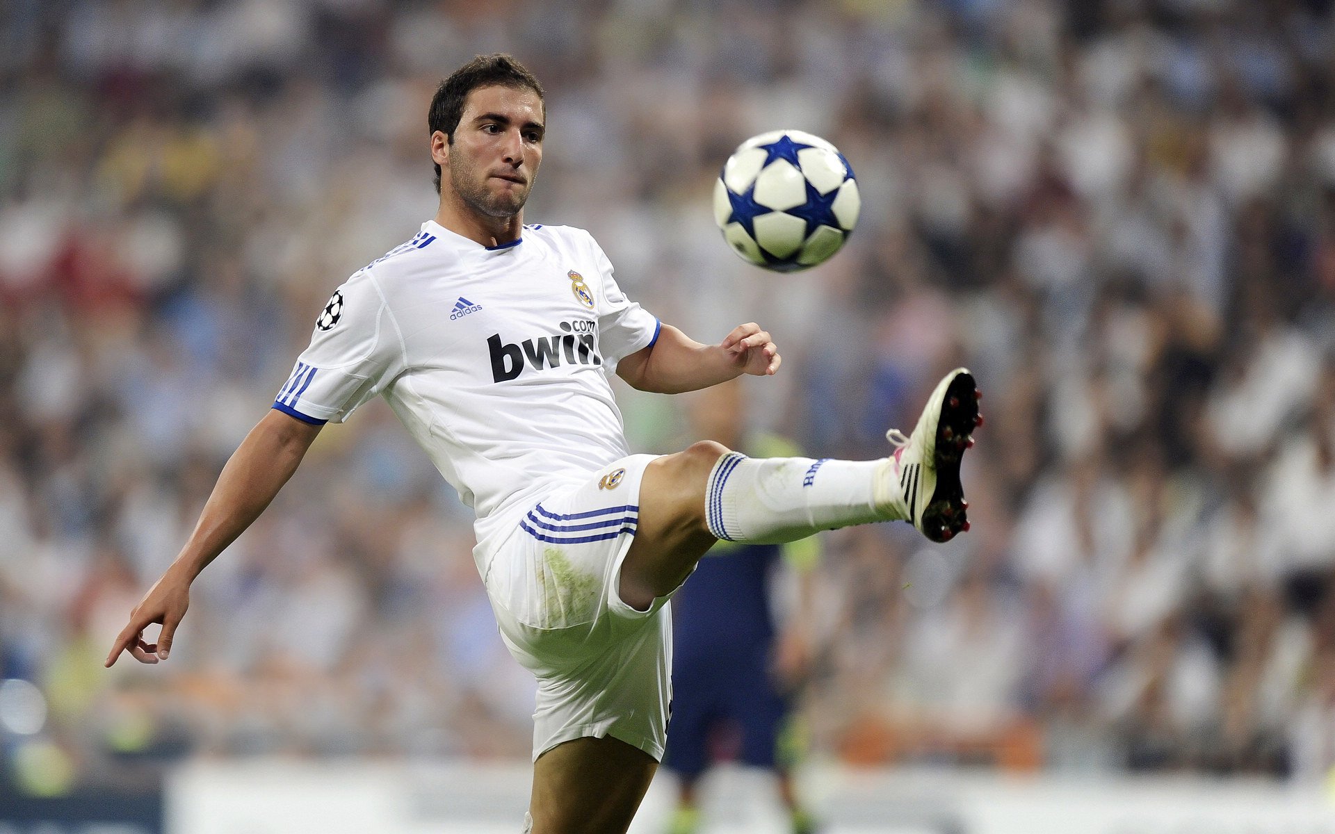 俱乐部加大青训投入，设立专项基金支持青少年成长，普通青训俱乐部方向